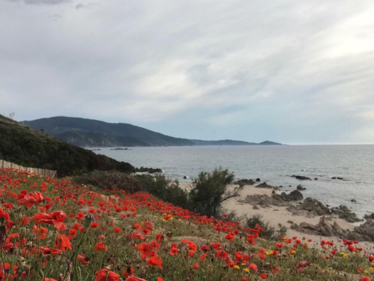 Grand Appartement Style Loft Bord De Mer Propriano  Bagian luar foto